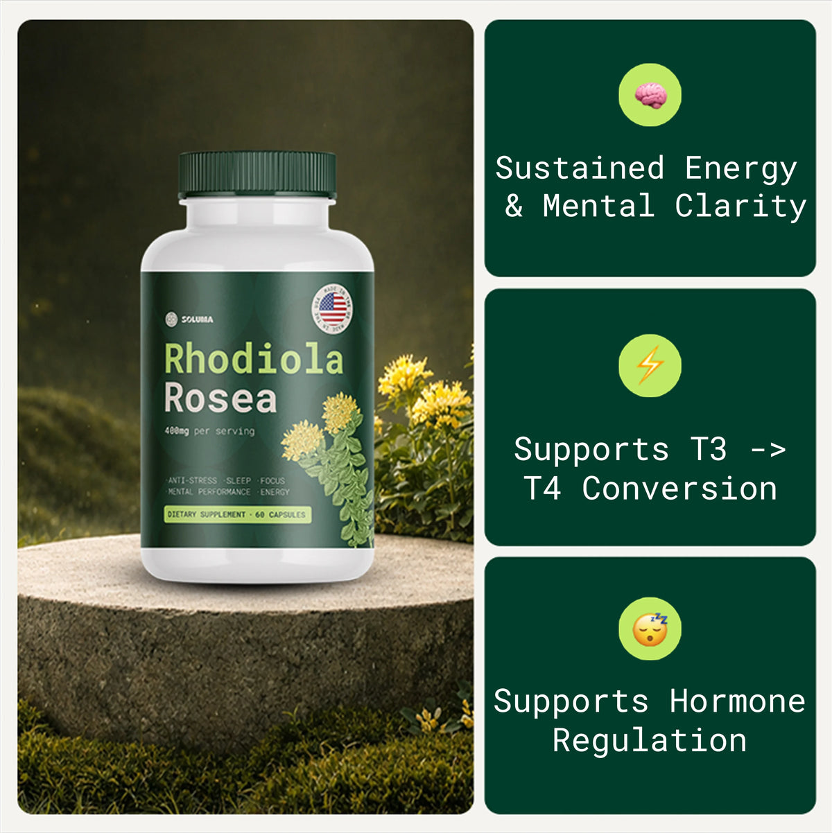 Rhodiola Rosea - Natural Adaptogen Made in USA [400mg]